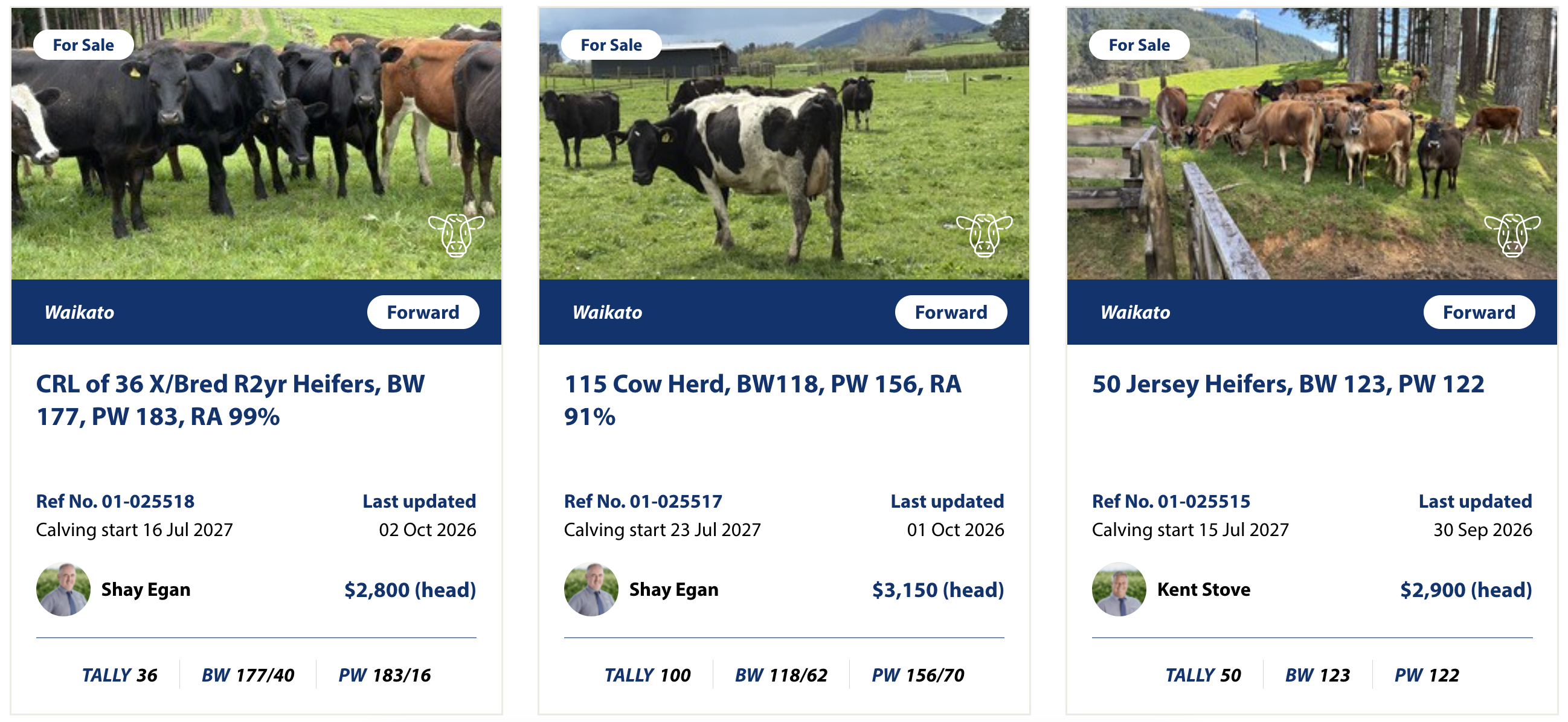 Screenshot of agOnline cattle listings with blue listing cards